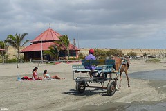 Colan Beach - Perú