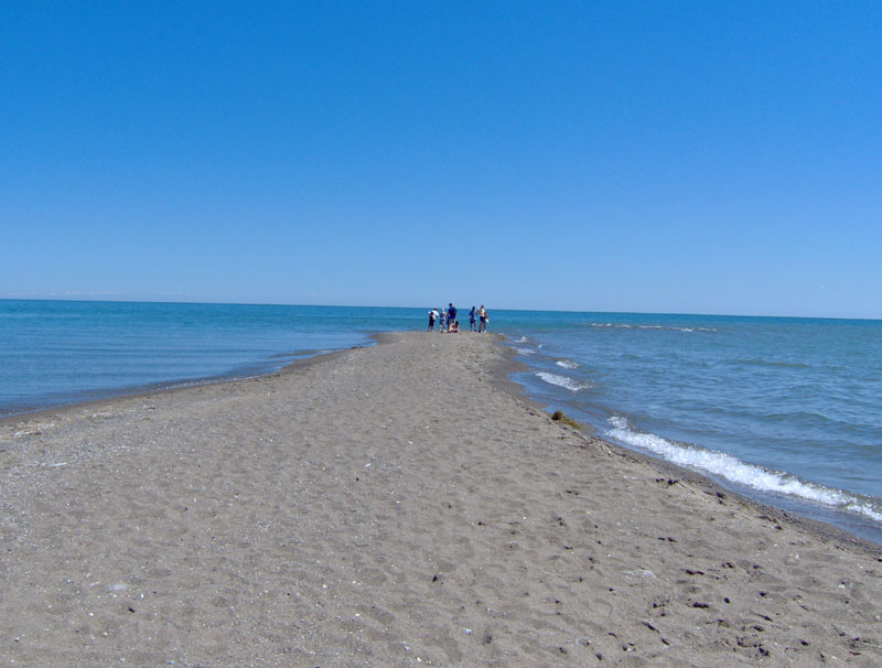 Point Pelee Tip. Photo by Library Playground; (CC BY-NC 2.0)