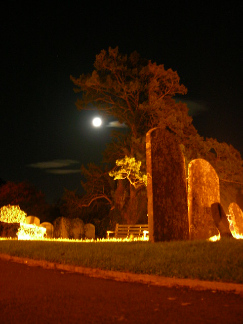 The moon behind the yew