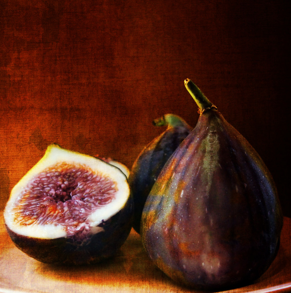 FIGS by mbgrigby