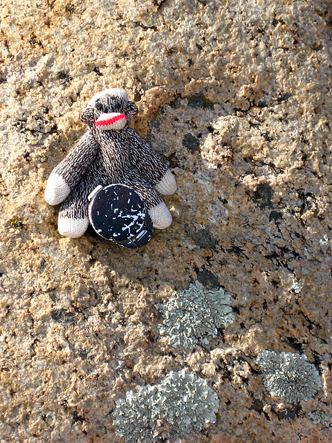 Sock Monkey Finds a Cache