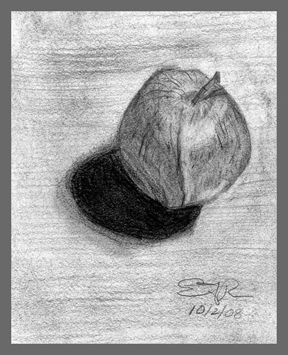 BW_Apple_20081002_520_640 | I did this drawing of an apple o… | Flickr