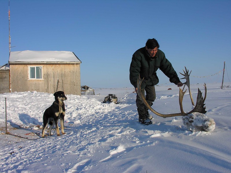 Gene the caribou hunter