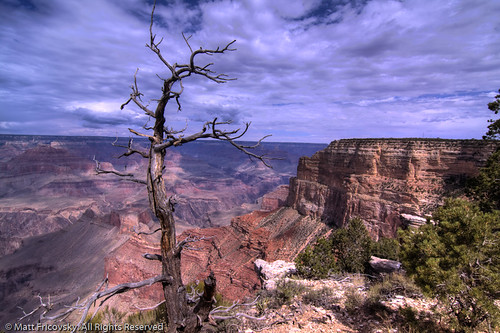 Grand Canyon by Matt Fricovsky ::: www.mattf.me
