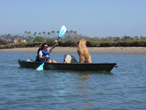 Dog paddle | by schreddzki