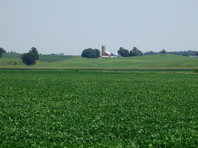 Champaign County, Ohio farm