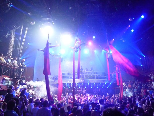 El Coco Bongo | by Webstudio