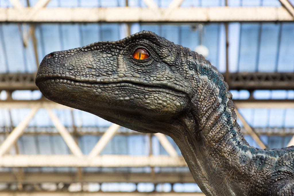 Jurassic Park's Velociraptors Are Completely Wrong According To