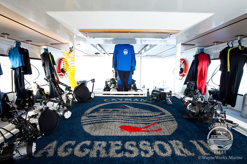 Cayman Aggressor IV