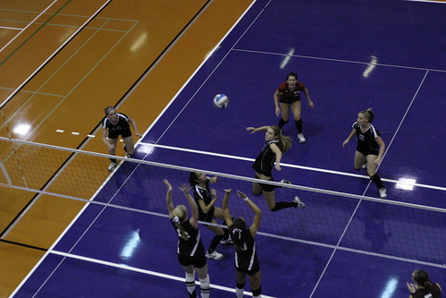 NYU vs. Vassar - Women's Volleyball