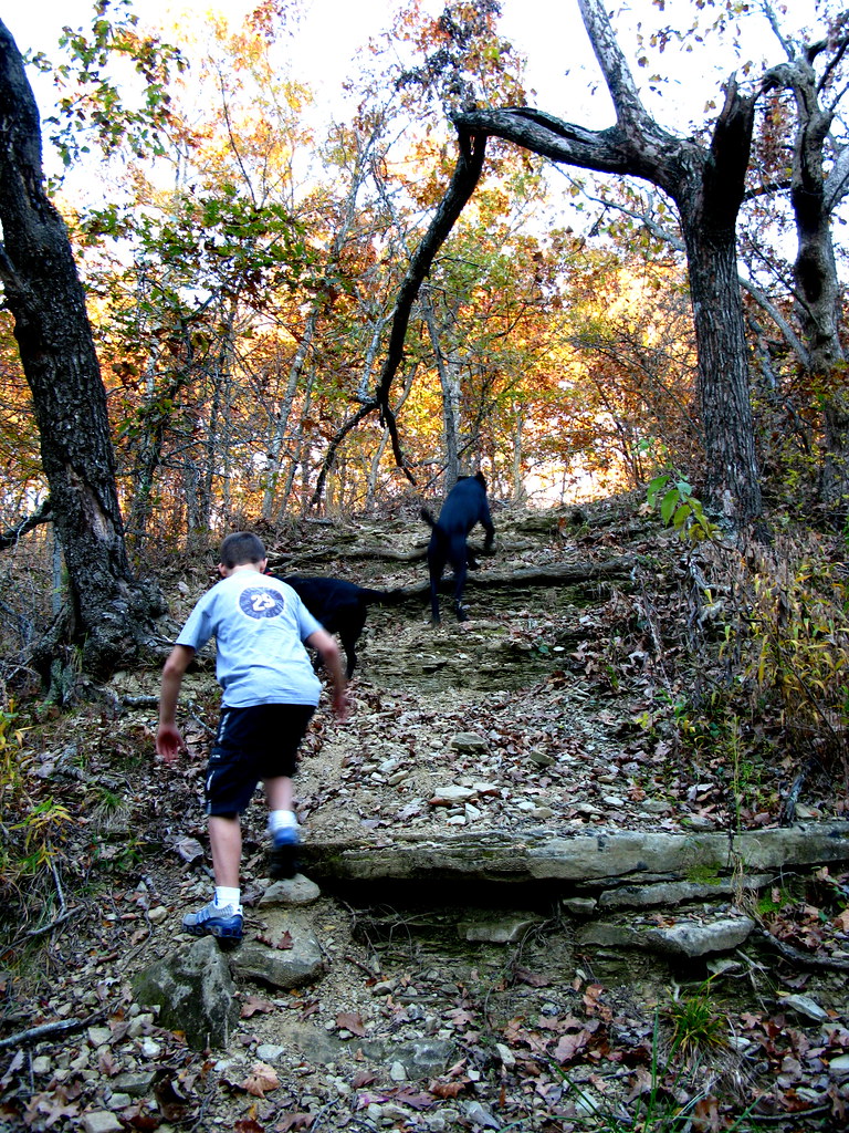A runner on a leaf-covered hiking trail at Turkey Mountain, Tulsa