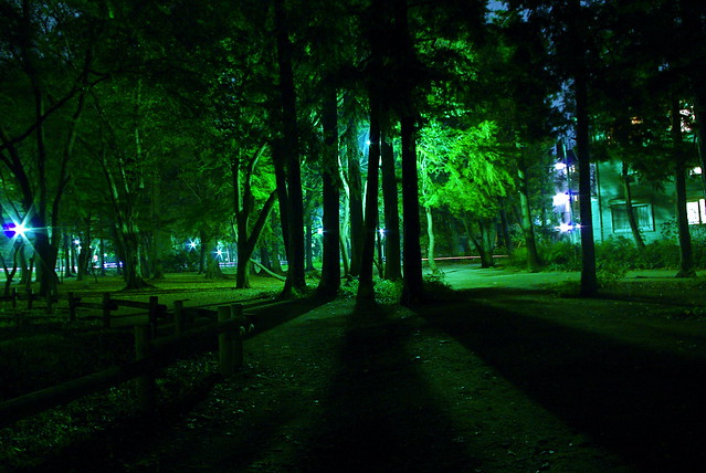 night trees