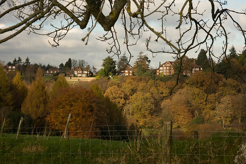 Haslemere from Valewood Farm 