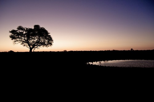 travel sunset 20d namibia etosha 180500mm