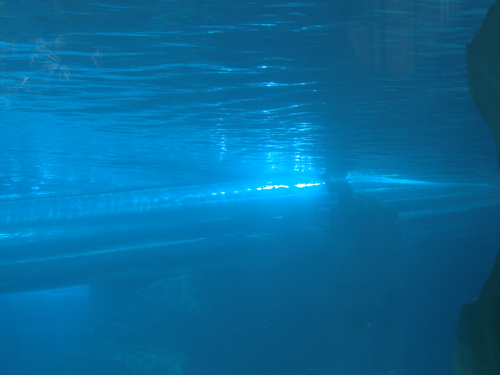 tunel submarino