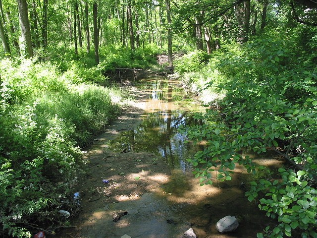 Gunner's Lake Park:  Creek Bed