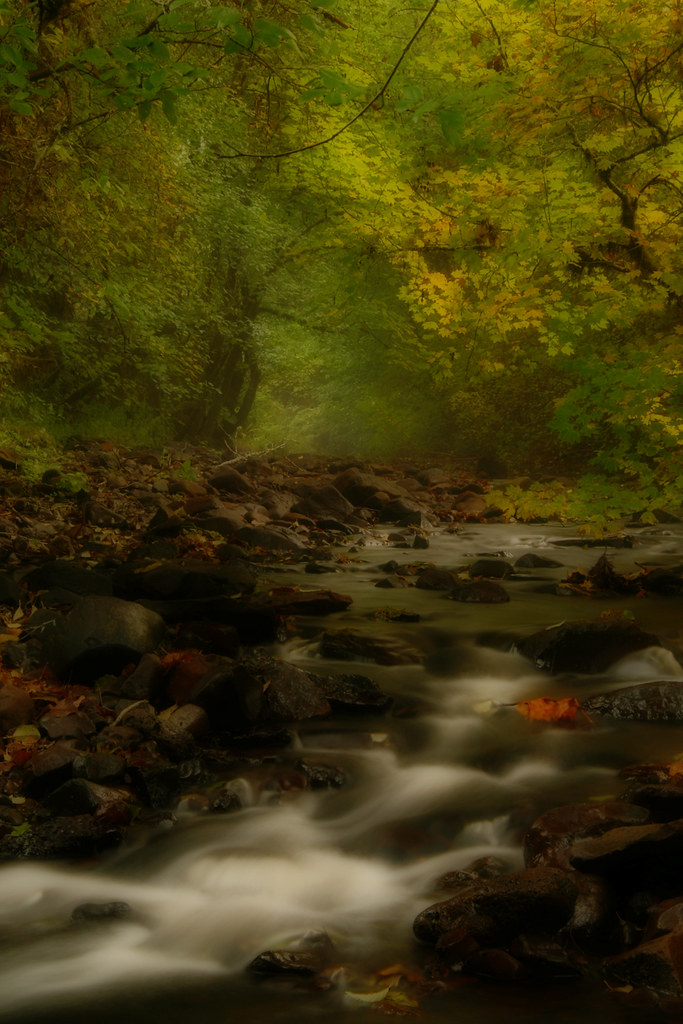 Autumn in Oregon by supermoe (Alan Moditz)