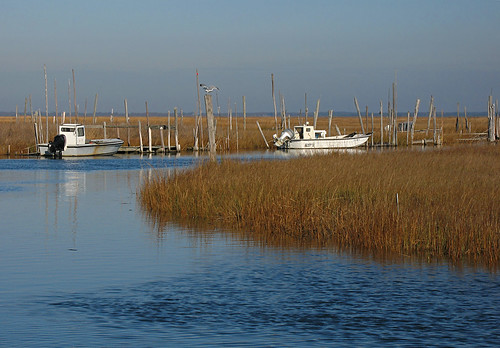 boats nj marsh pilings atlanticcounty oystercreek leedspoint