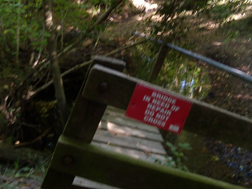 You don't say! Luckily the stream was just a trickle we could step over. Wadhurst circular
