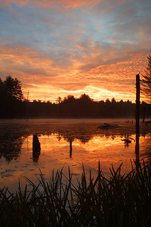 Sunrise @ the Beaver Pond