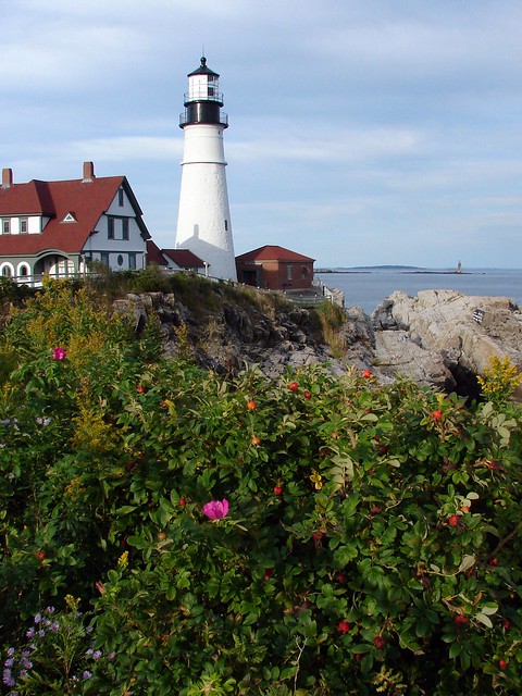 Portland Head Light with roses....