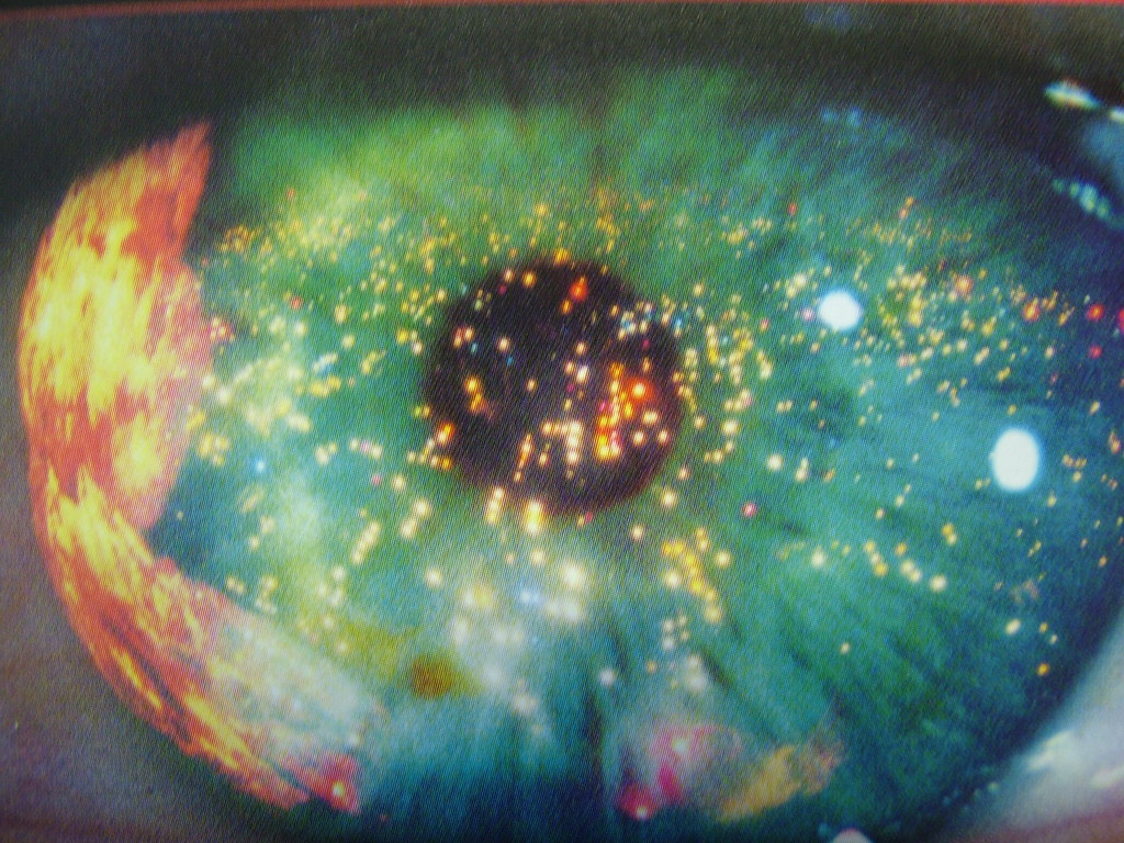 Scott Ruler Eye “If only you could see what I’ve seen with your eyes”: Foucault ...