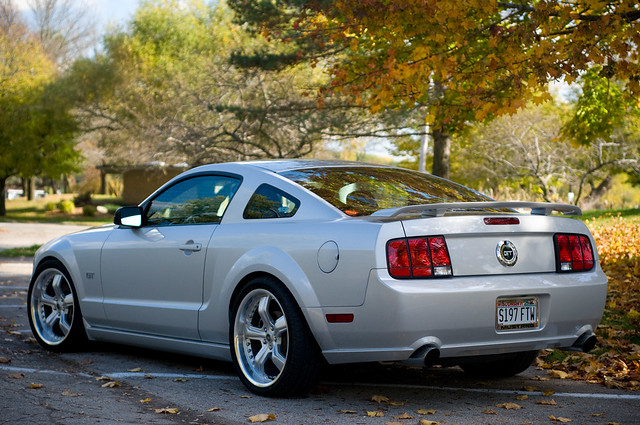 Mustang in Fall