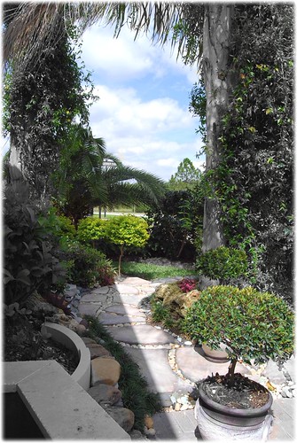 Garden Pathway by UMAXX