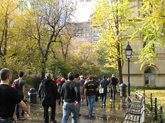And as we all walked together to secure our civil rights, we pondered the lovely autumnal scenery between City Hall and the Tweed Courthouse.