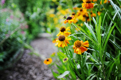 Sigma 24mm F1.8 EX DG ASPHERICAL MACRO | Flickr