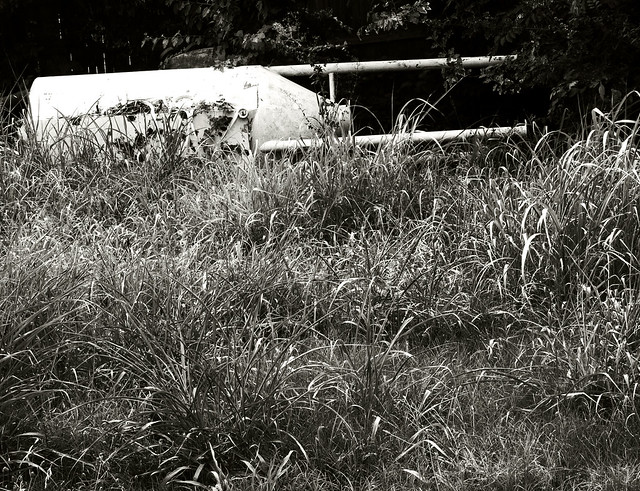 Abandoned Tank and Overgrown Grass