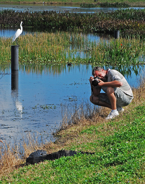 Scott photographing alligator 2