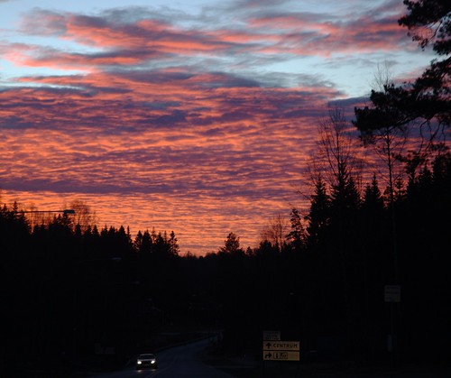 road sky forest sunrise sweden himmel skog soluppgång väg västragötaland västergötland