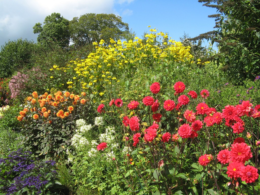 summer flower borders at nymans gardens near haywards heat… | flickr
