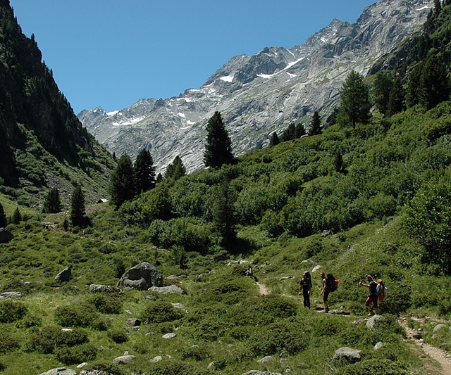 d0805020 | auf dem Weg ins Val Forno. Bergeller Alpen / Graubünden, 24.07.2008