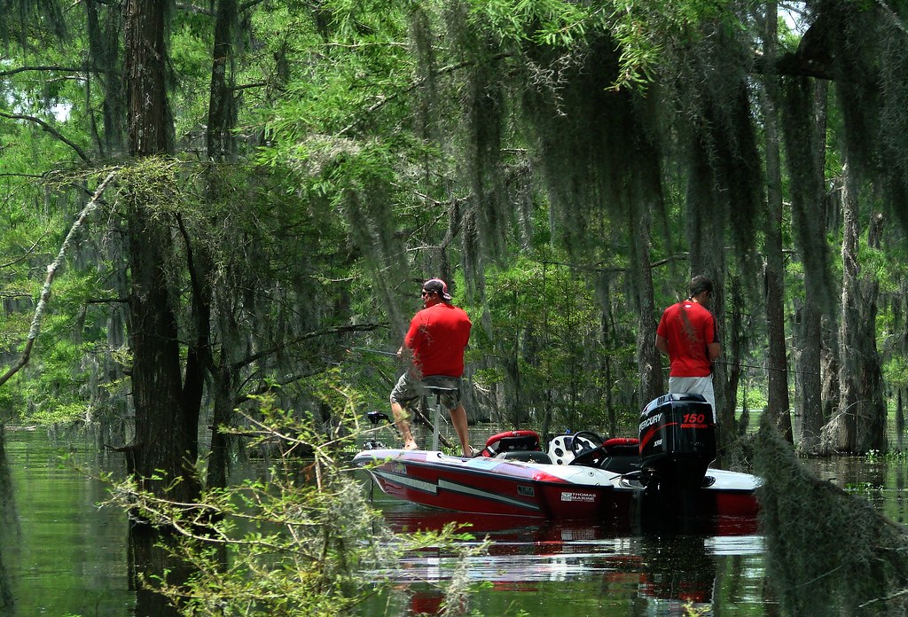 Ragin' Cajuns fishing in a Louisiana swamp, A couple of Rag…