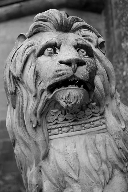 Lion at Arundel Castle