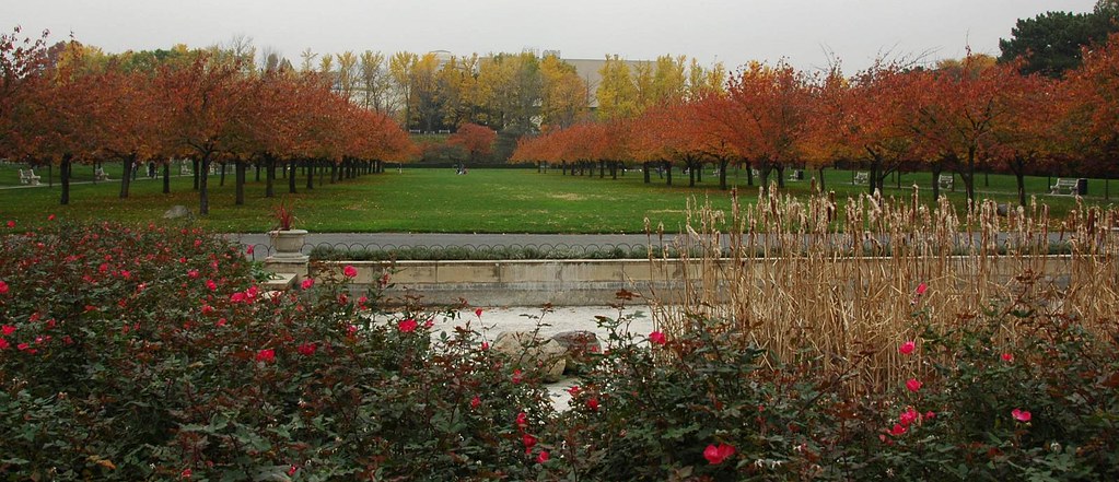 Cherry Esplanade, Brooklyn Botanic Garden by Flatbush Gardener