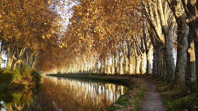 C'est l'automne sur le Canal du Midi