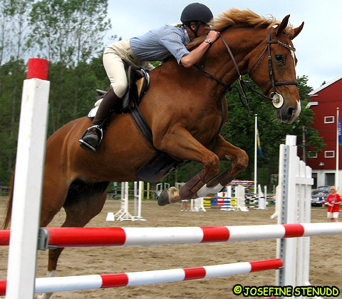20060618_047 Horse jumping at Clarebergs Ridklubb | Gothenburg, Sweden
