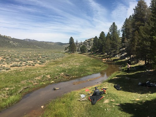 PCT: Day 55