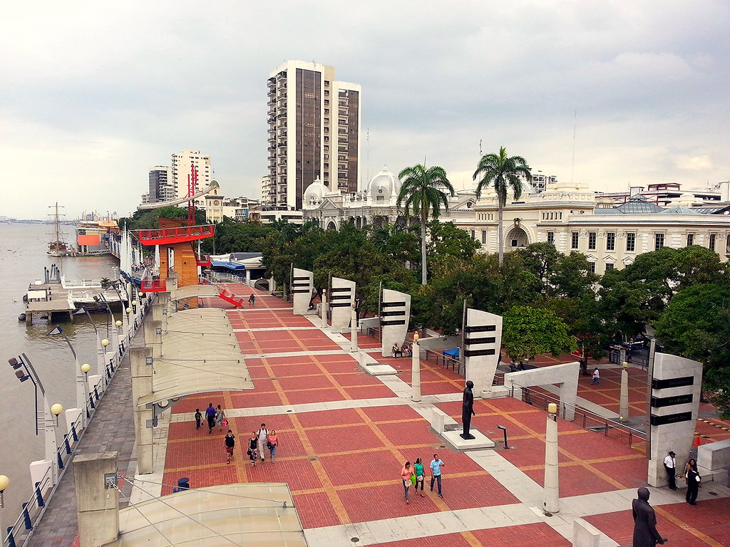 The Guayaquil Malecon from above, lined with palm trees