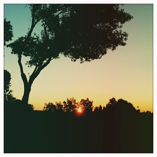 Sundown. Turlock, CA.