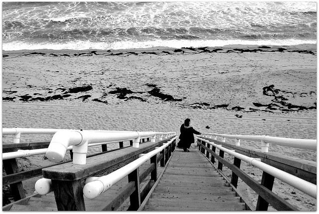 Stairs Down to the Beach, Cape Cod National Seashore, Massachusetts (Black and White)