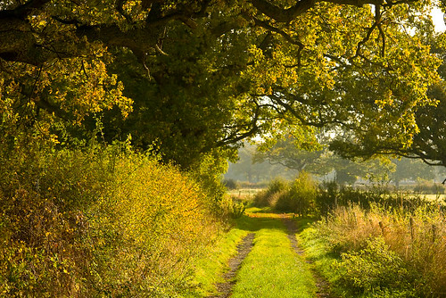 Easterly path near Gadbrook Farm 
