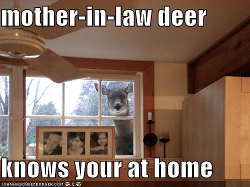 funny-pictures-mother-in-law-deer | emofurbiesgowhee | Flickr