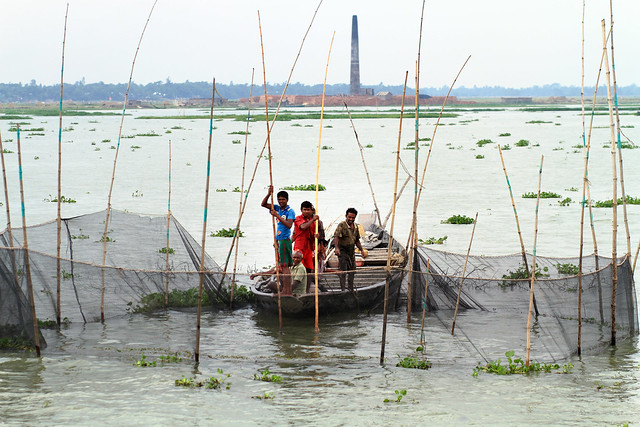 Fishing in Meghna River - Bhairab Bazar, Bangladesh