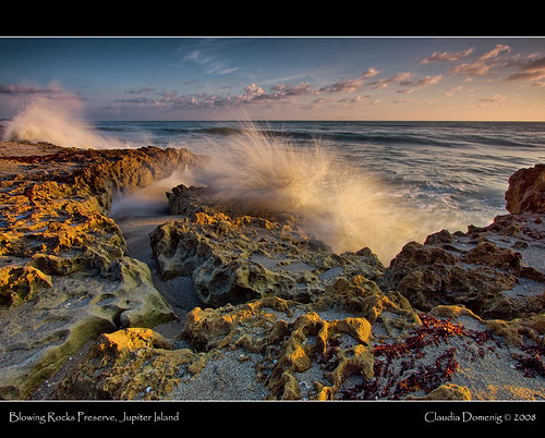 Early Morning Splash by Fraggle Red