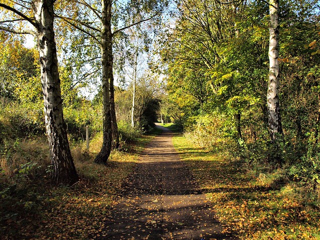Path in October