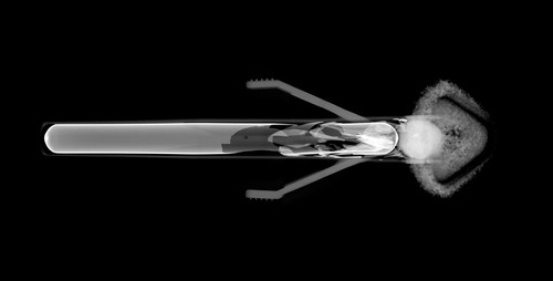 Weapon of Mass Destruction by Surfactant